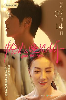 恰好遇见你封面图