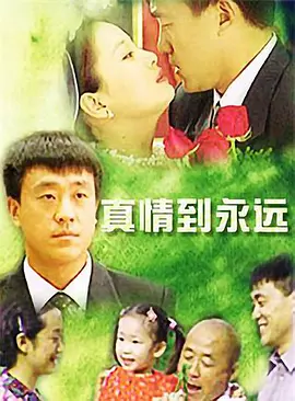 真情到永远封面图