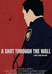 穿墙之弹封面图