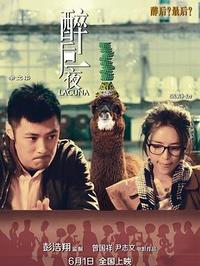 醉后一夜封面图