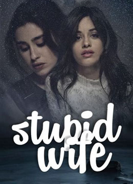 我的老婆失忆了封面图