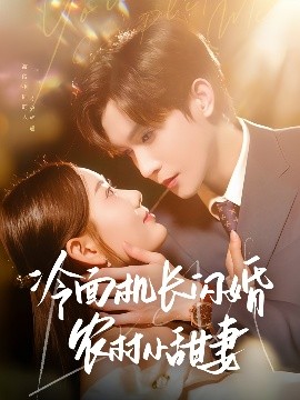 冷面机长闪婚农村小甜妻封面图
