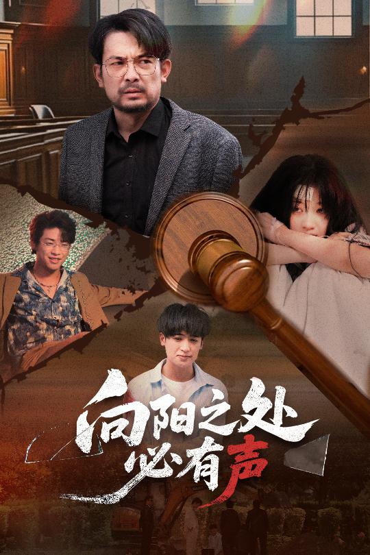 向阳之处必有声封面图