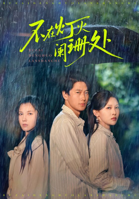 不在灯火阑珊处封面图