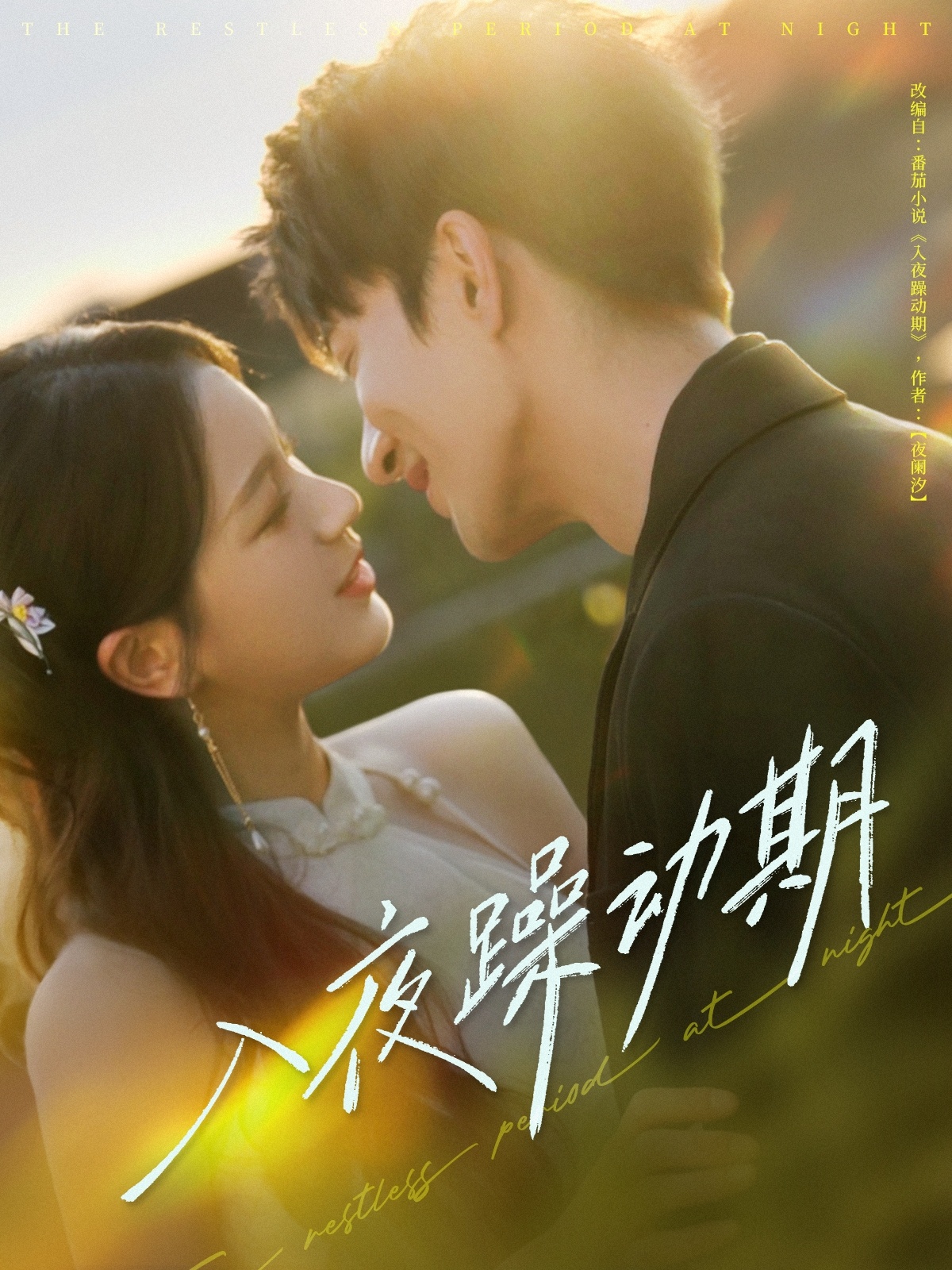入夜躁动期封面图