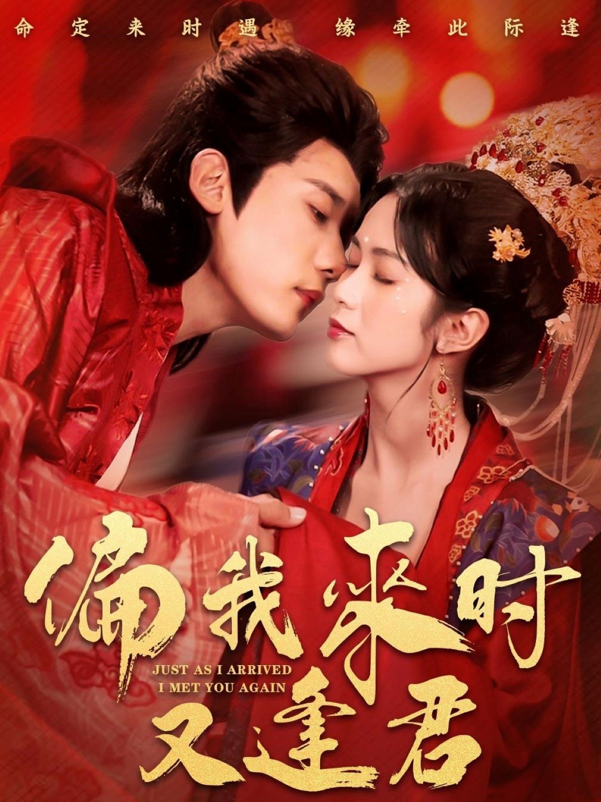 偏我来时又逢君封面图