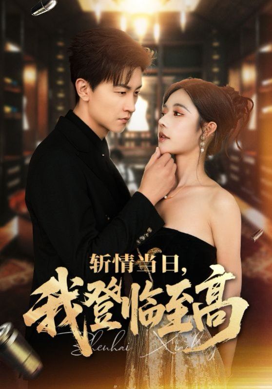 斩情当日我登临至高封面图