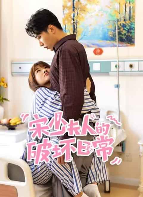 宋少夫人的破坏日常封面图