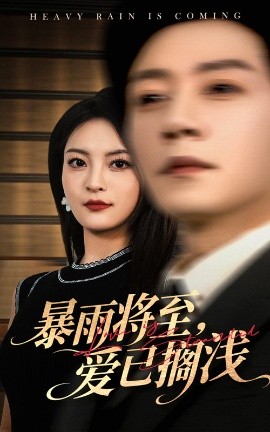 暴雨将至爱已搁浅封面图