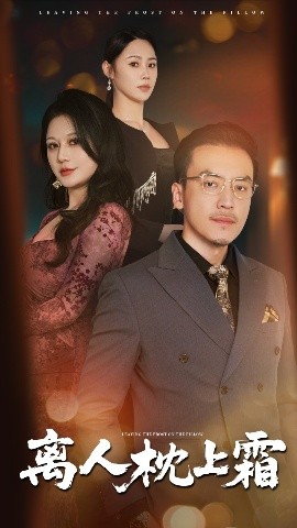 离人枕上霜封面图