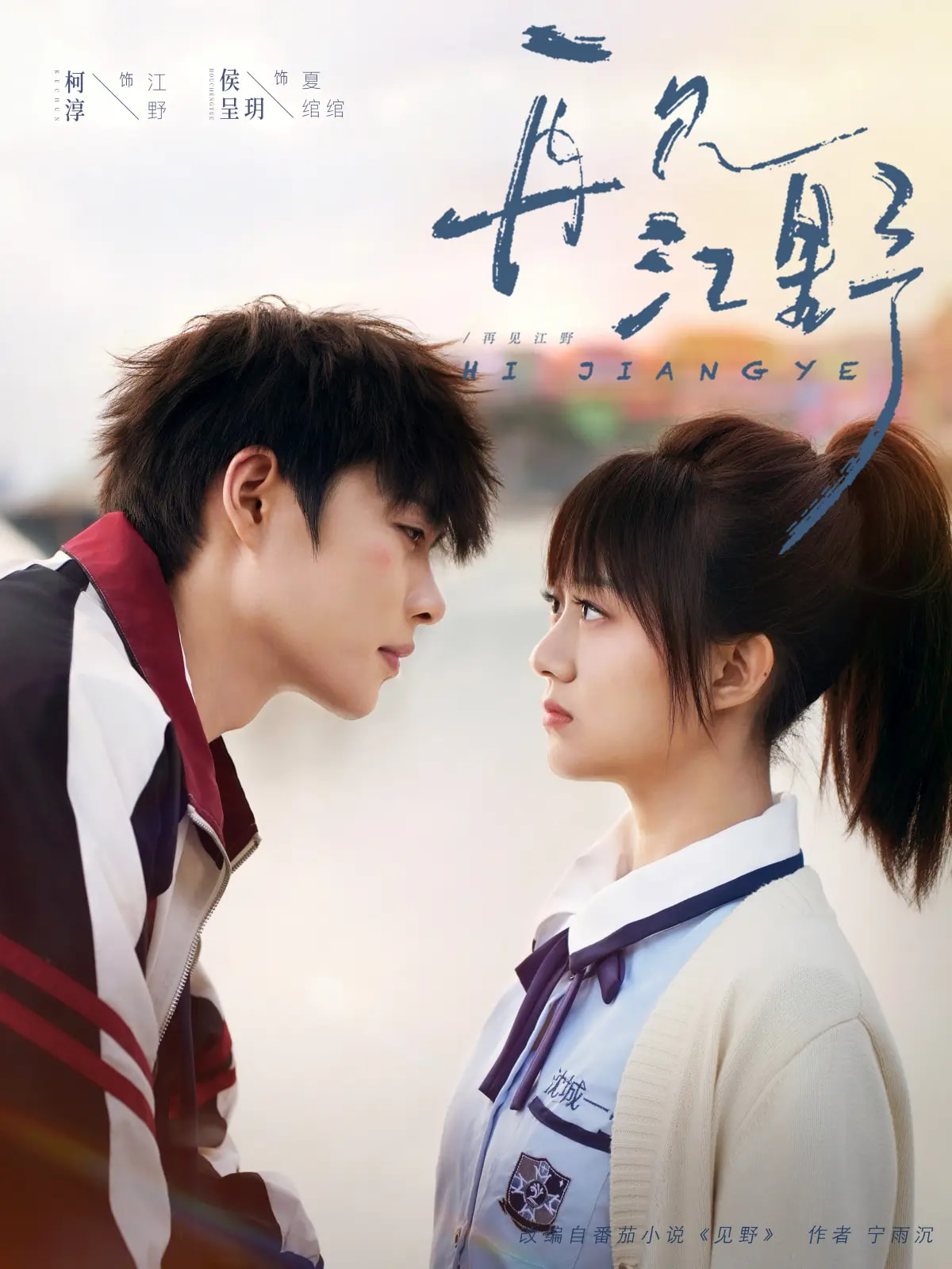 再见江野封面图