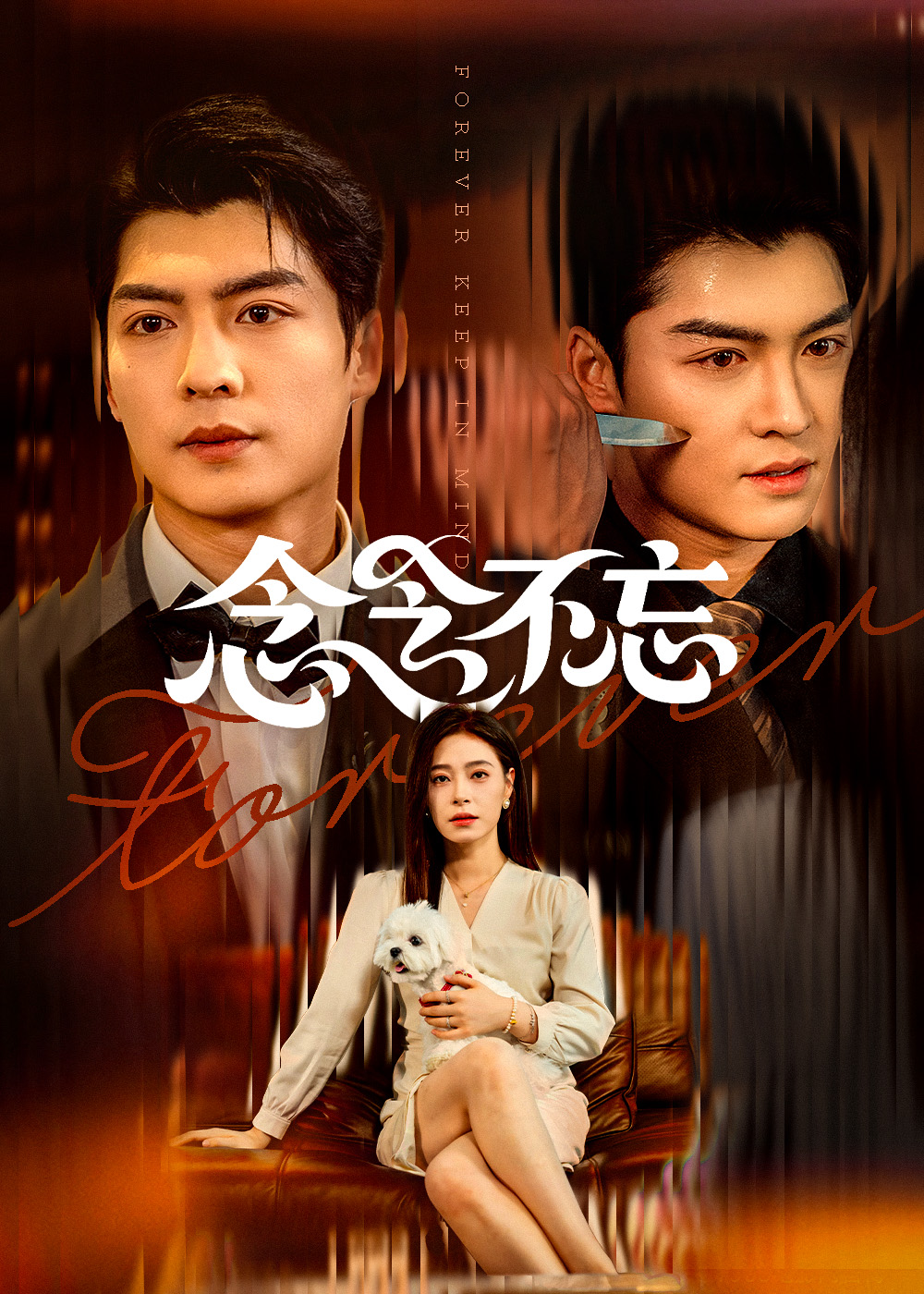 念念不忘封面图