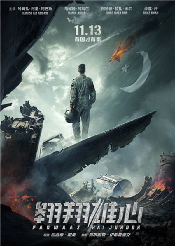 翱翔雄心封面图