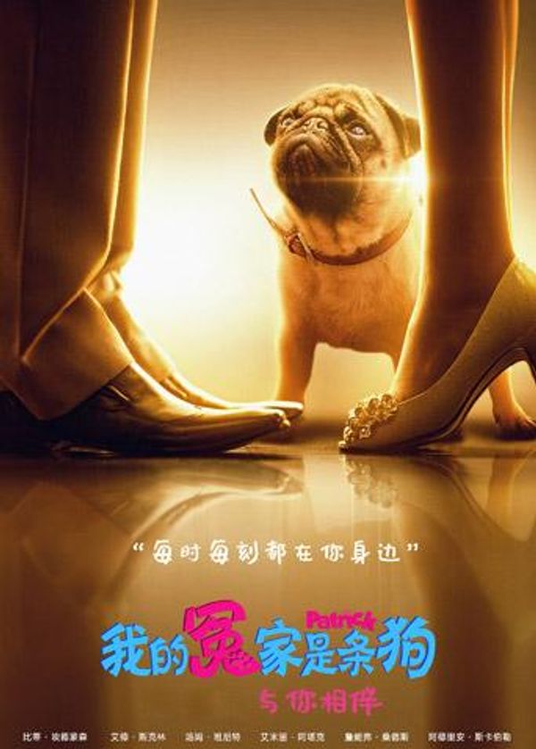 我的冤家是条狗（普通话）封面图