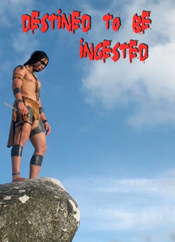 命中注定（2008）封面图