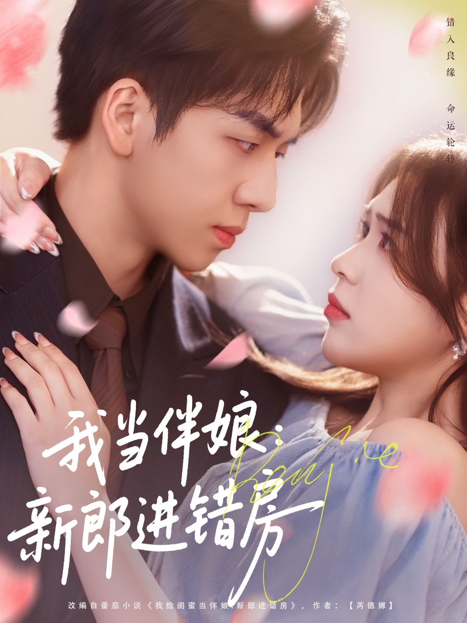 我当伴娘新郎进错房封面图