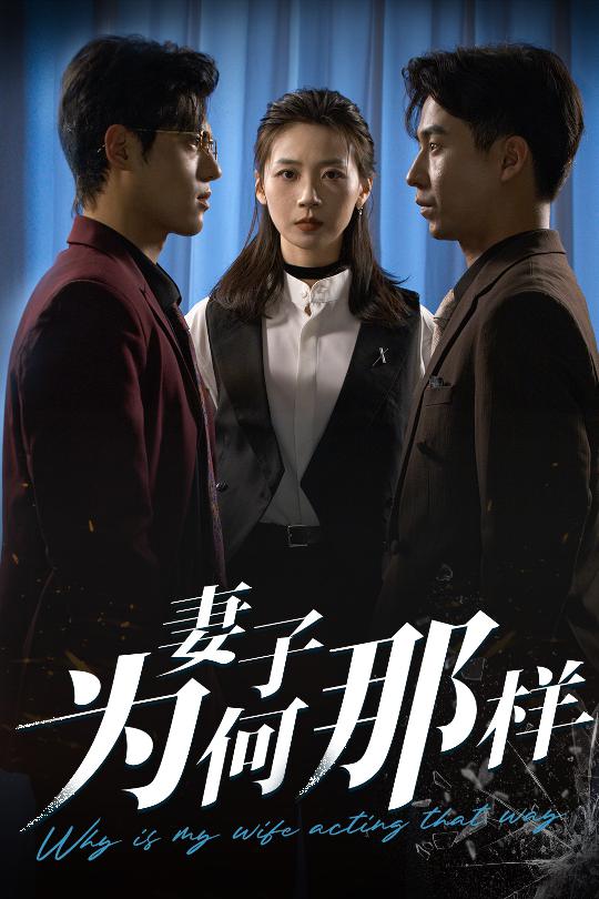 妻子为何那样封面图