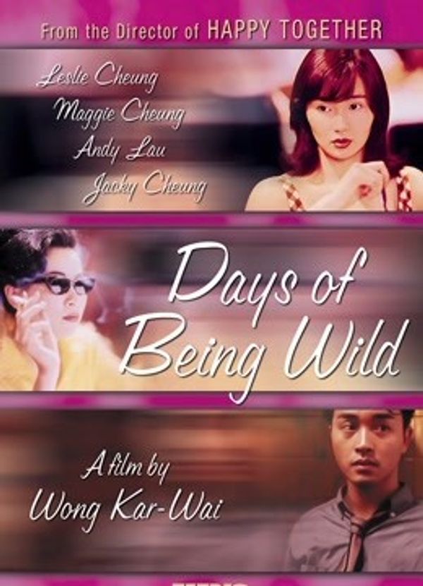 阿飞正传（粤语）封面图