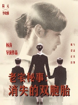 老宅秘事消失的双胞胎 消失的孩子封面图