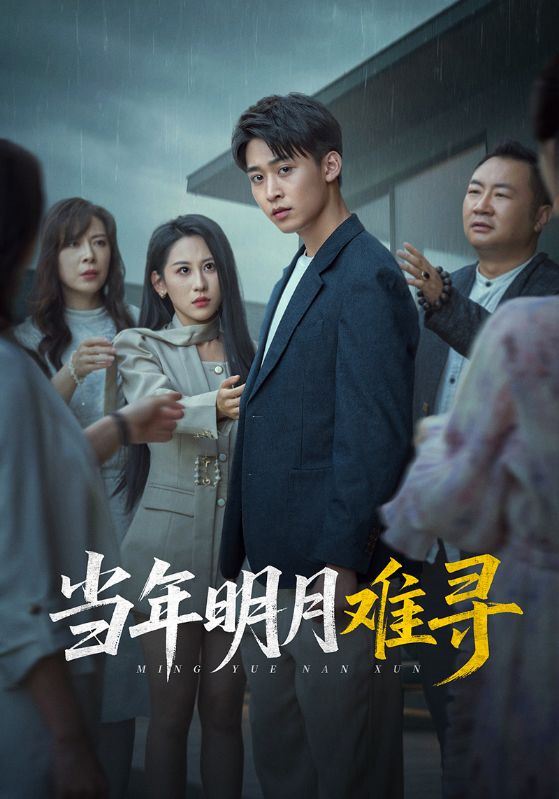 当年明月难寻封面图