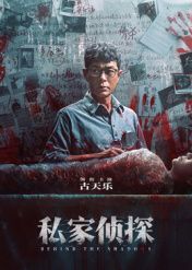 私家侦探封面图