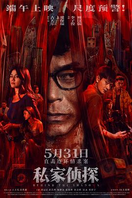 私家侦探国语封面图