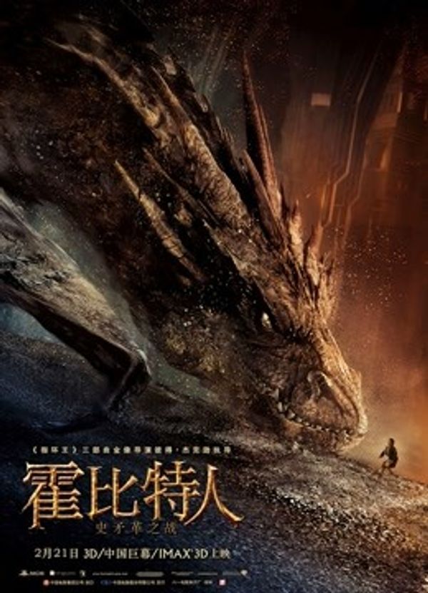 霍比特人2：史矛革之战（普通话）封面图