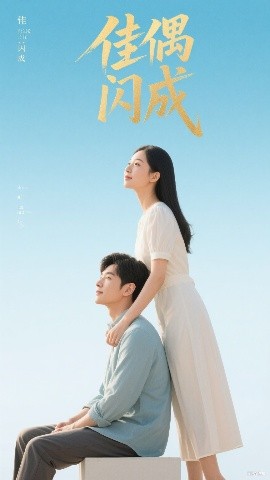 佳偶闪成  假婚真爱封面图