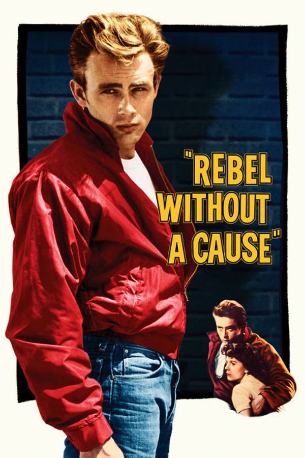 无因的反抗封面图