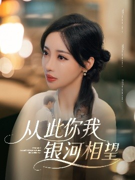 从此你我银河相望封面图