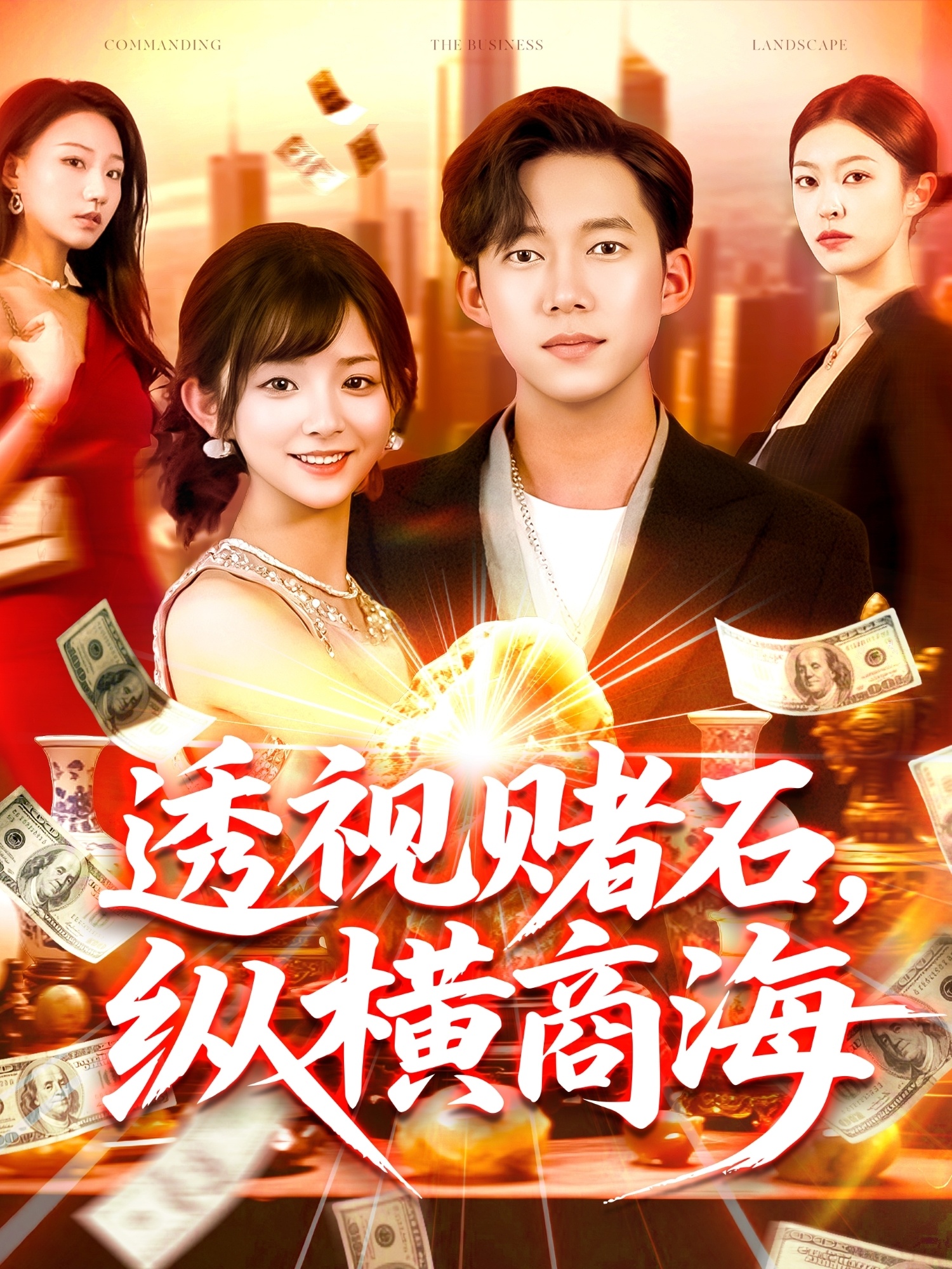 透视赌石纵横商海封面图