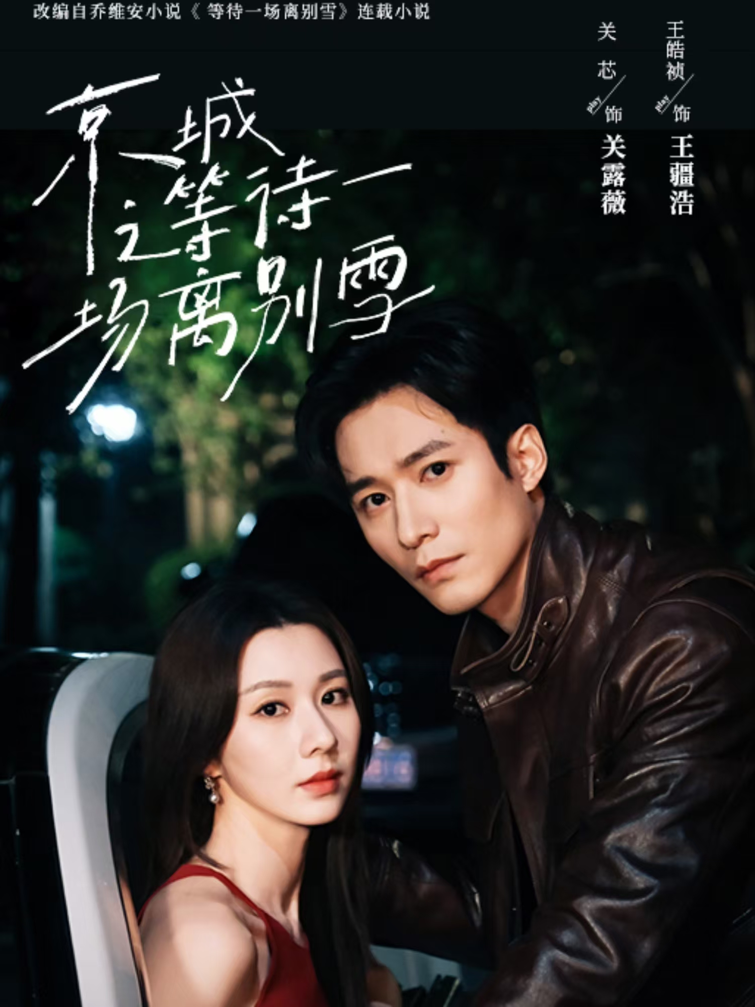 京城之等待一场离别雪封面图