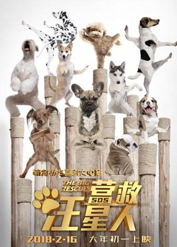 营救汪星人封面图