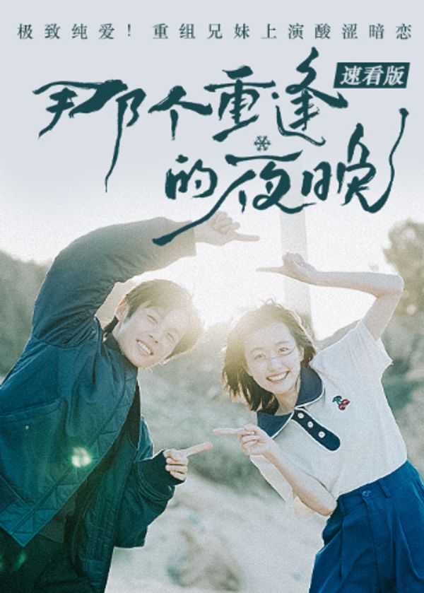 那个重逢的夜晚速看版封面图