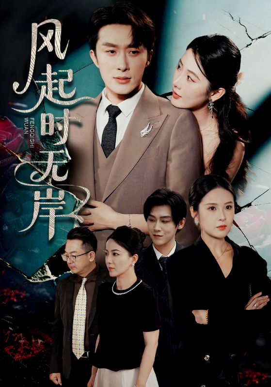 风起时无岸封面图