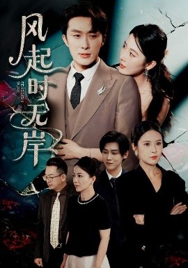 风起时无岸封面图