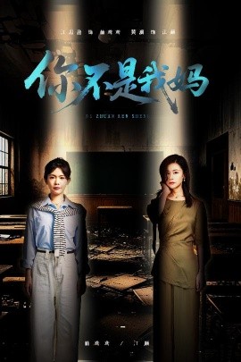 你不是我妈封面图