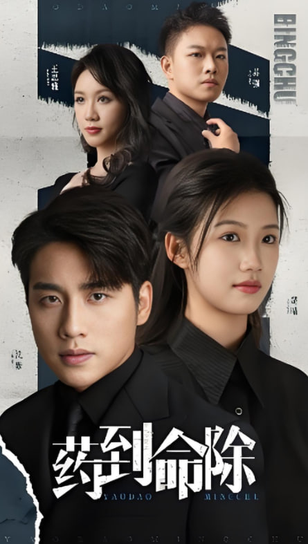 药到情除封面图