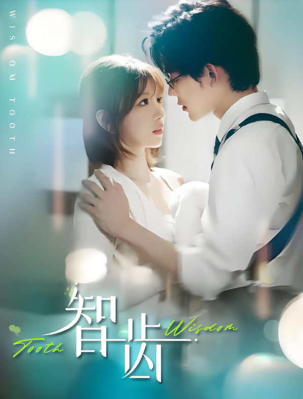 智齿封面图