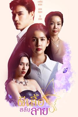 条纹蝴蝶封面图