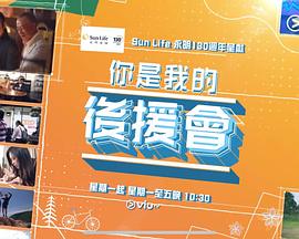 你是我的后援会封面图