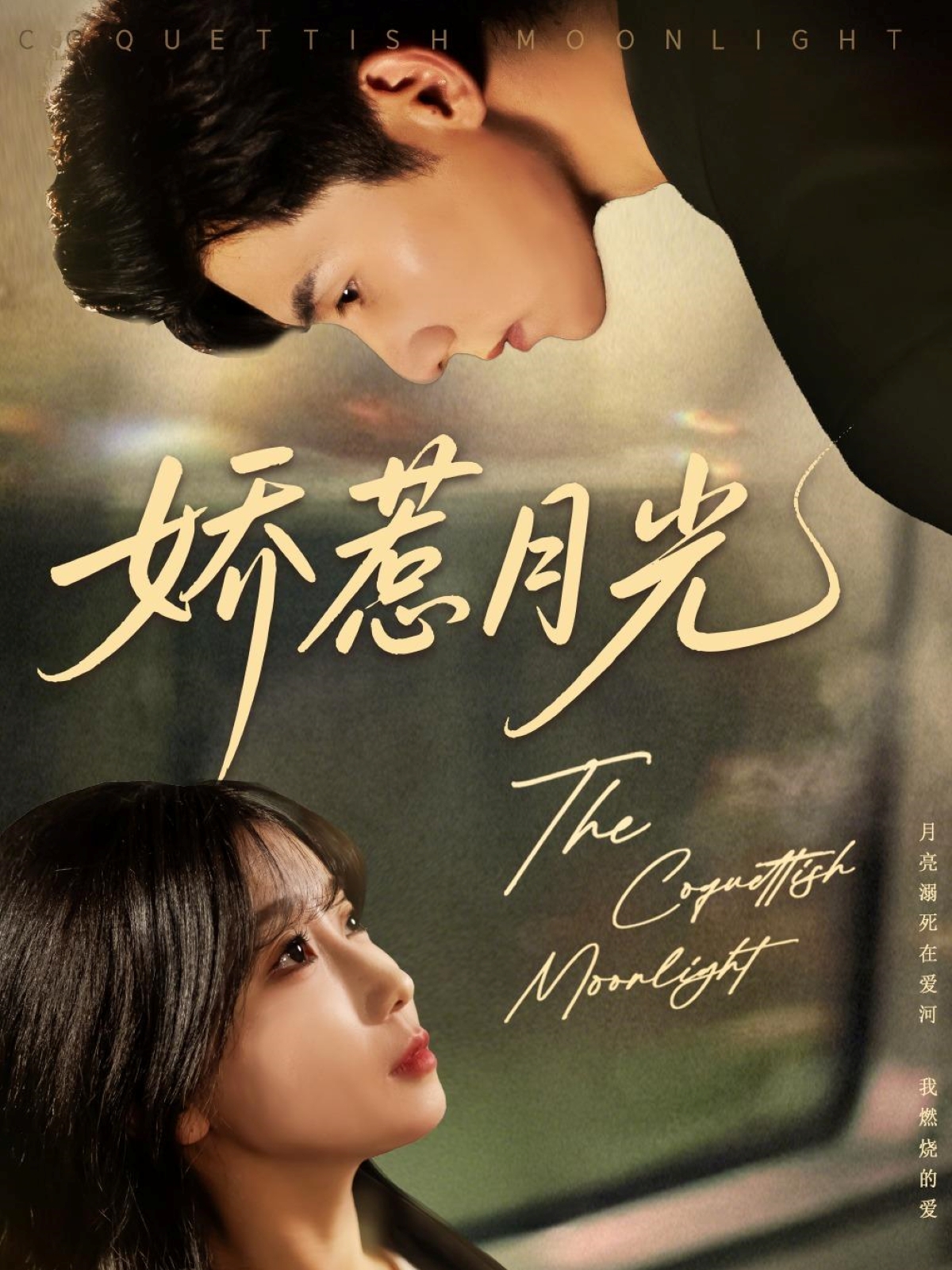 娇惹月光封面图