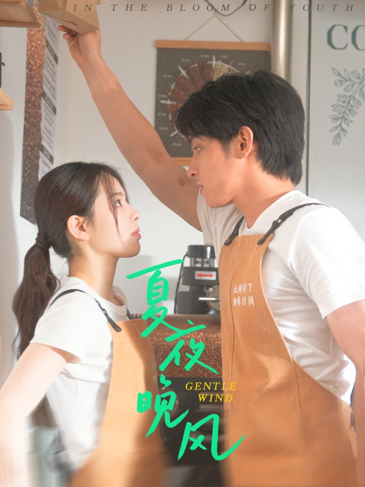 夏夜晚风封面图