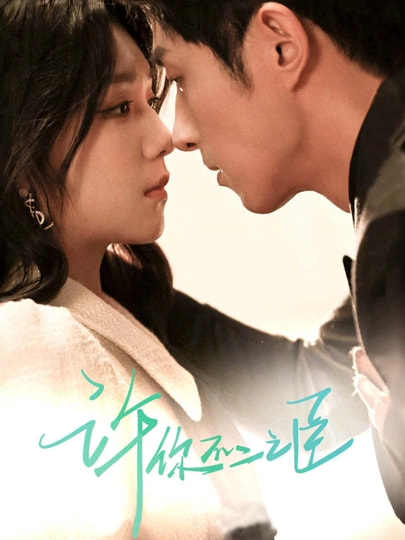 许你不二之臣封面图