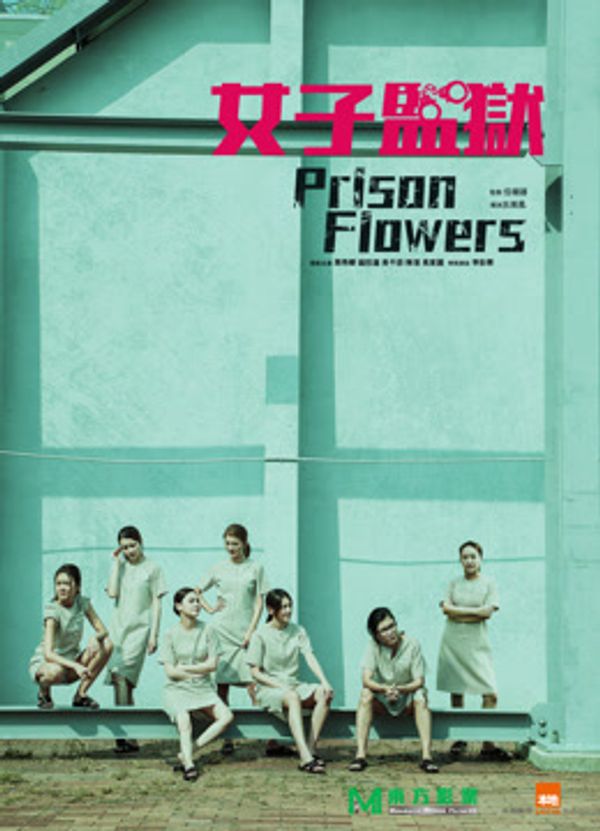 女囚风暴1995（粤语）封面图