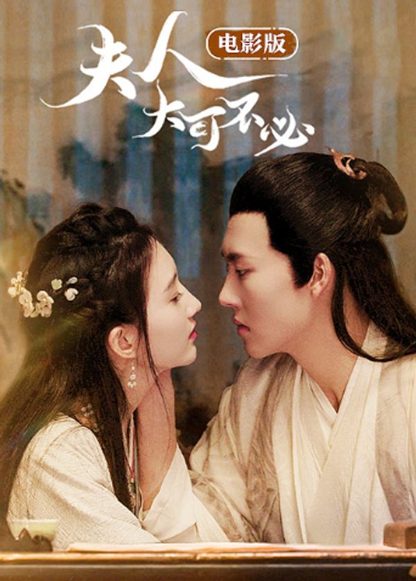 夫人，大可不必电影版封面图