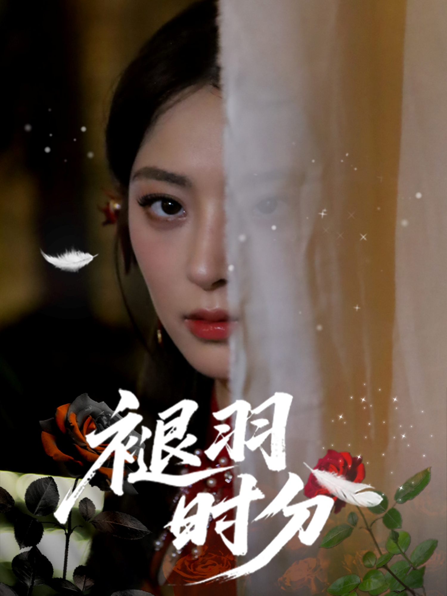 褪羽时分封面图