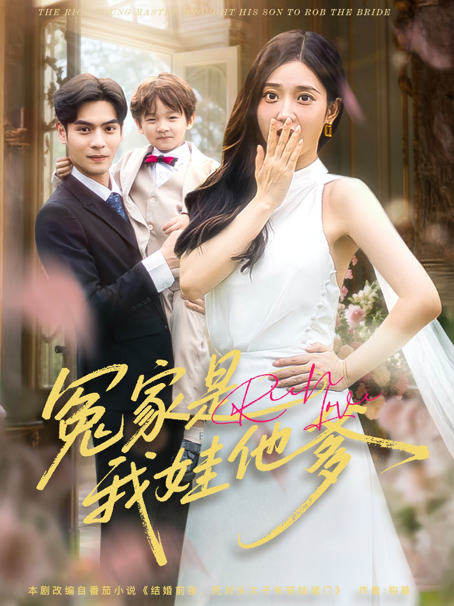 冤家是我娃他爹封面图