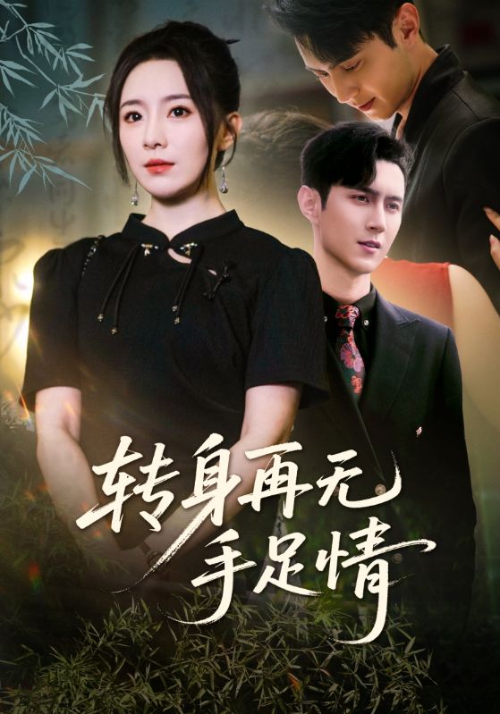 转身再无手足情封面图