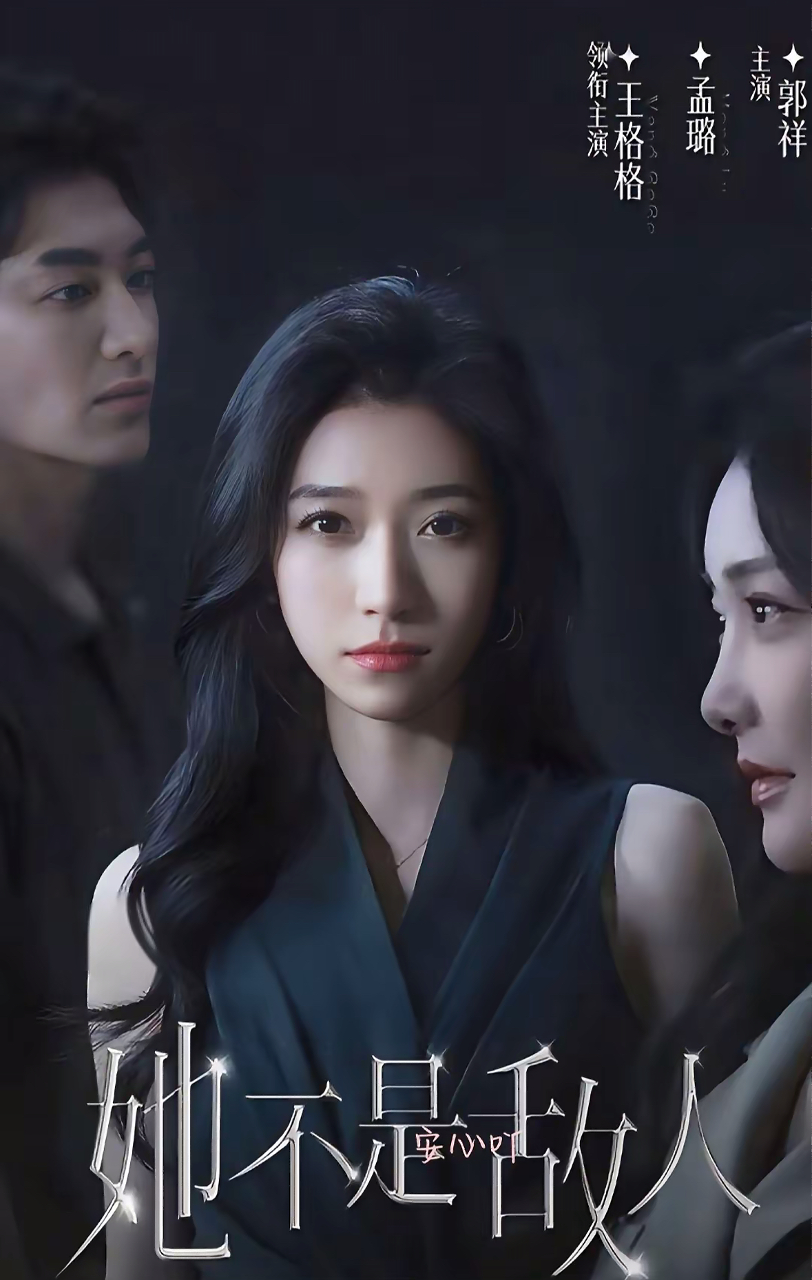 她不是敌人封面图